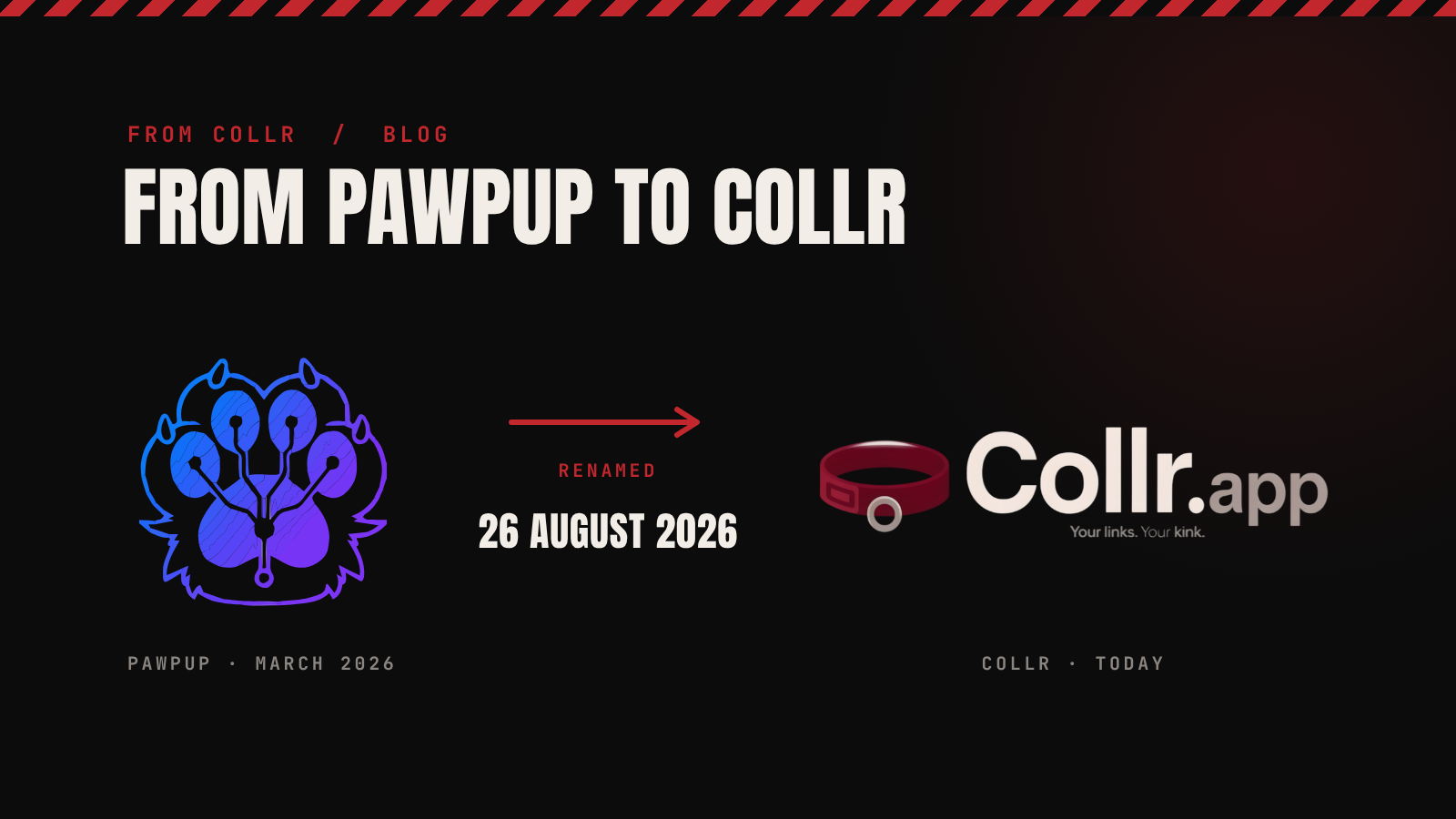 A dark banner with a red-and-black hazard stripe along the top. Red text reads “From Collr / Blog” above a large cream headline: “From PawPup to Collr”. Below it, on the left, is the old PawPup logo, a blue-to-purple paw print with circuit-board lines, labelled “PawPup · March 2026”. A red arrow in
